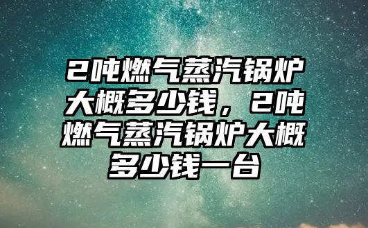 2噸燃氣蒸汽鍋爐大概多少錢，2噸燃氣蒸汽鍋爐大概多少錢一臺