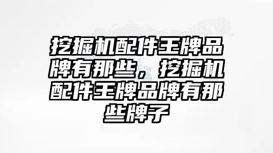 挖掘機配件王牌品牌有那些，挖掘機配件王牌品牌有那些牌子