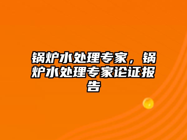 鍋爐水處理專家，鍋爐水處理專家論證報(bào)告