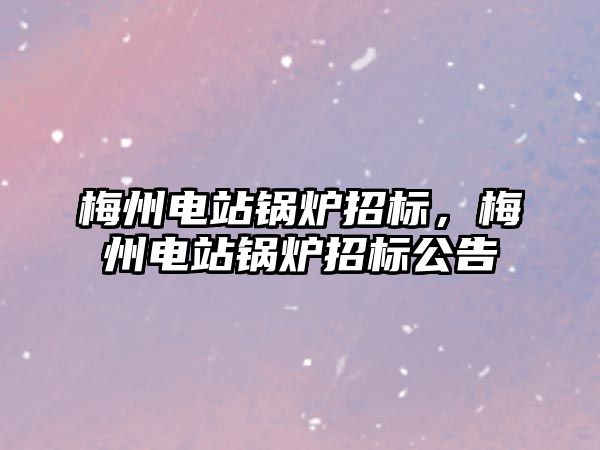 梅州電站鍋爐招標，梅州電站鍋爐招標公告