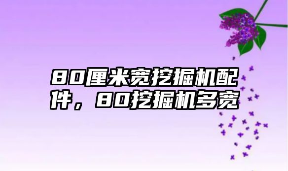 80厘米寬挖掘機(jī)配件，80挖掘機(jī)多寬