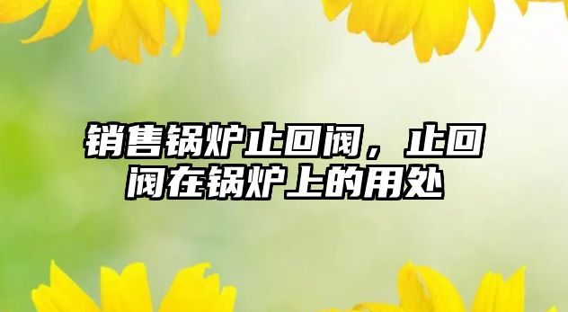 銷售鍋爐止回閥，止回閥在鍋爐上的用處