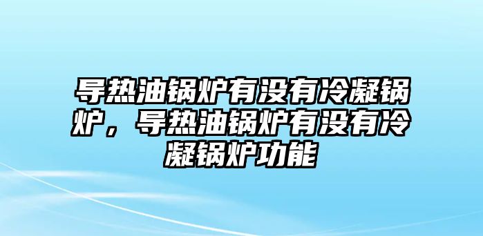 導(dǎo)熱油鍋爐有沒有冷凝鍋爐，導(dǎo)熱油鍋爐有沒有冷凝鍋爐功能