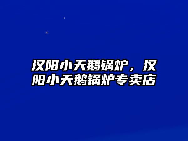 漢陽小天鵝鍋爐，漢陽小天鵝鍋爐專賣店