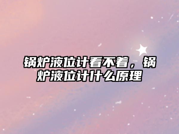 鍋爐液位計看不著，鍋爐液位計什么原理