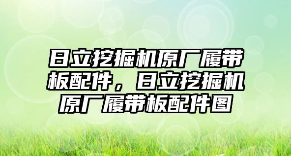 日立挖掘機(jī)原廠履帶板配件，日立挖掘機(jī)原廠履帶板配件圖