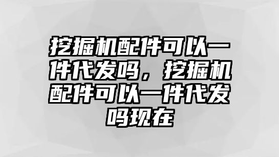 挖掘機(jī)配件可以一件代發(fā)嗎，挖掘機(jī)配件可以一件代發(fā)嗎現(xiàn)在