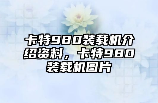 卡特980裝載機(jī)介紹資料，卡特980裝載機(jī)圖片