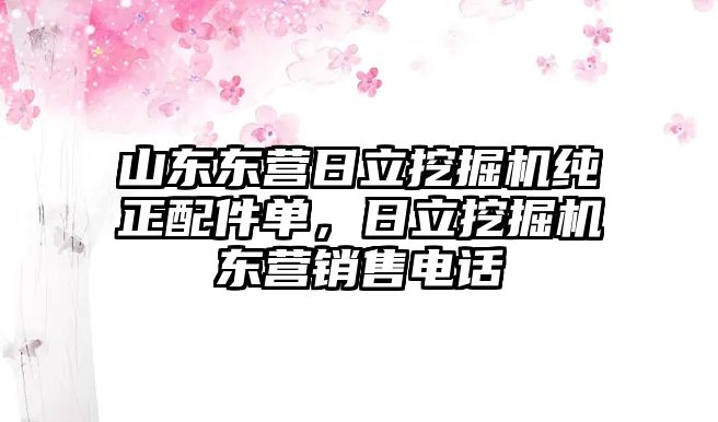 山東東營(yíng)日立挖掘機(jī)純正配件單，日立挖掘機(jī)東營(yíng)銷(xiāo)售電話