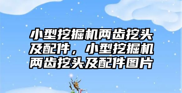 小型挖掘機(jī)兩齒挖頭及配件，小型挖掘機(jī)兩齒挖頭及配件圖片