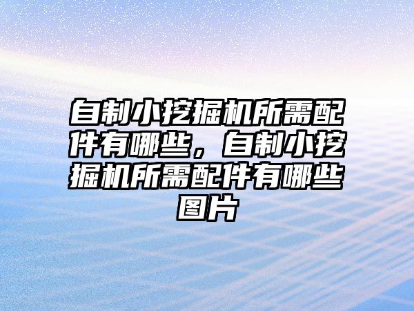 自制小挖掘機所需配件有哪些，自制小挖掘機所需配件有哪些圖片