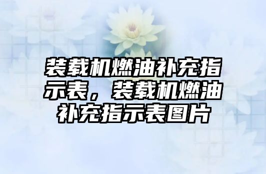 裝載機(jī)燃油補(bǔ)充指示表，裝載機(jī)燃油補(bǔ)充指示表圖片