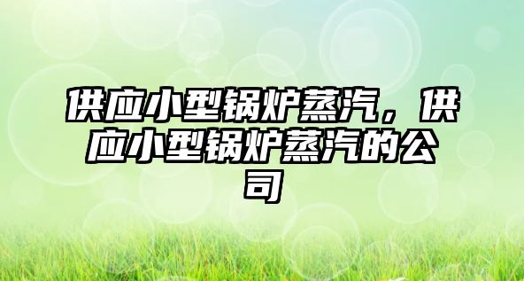 供應(yīng)小型鍋爐蒸汽，供應(yīng)小型鍋爐蒸汽的公司