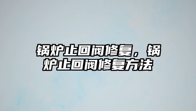 鍋爐止回閥修復(fù)，鍋爐止回閥修復(fù)方法