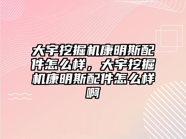 大宇挖掘機康明斯配件怎么樣，大宇挖掘機康明斯配件怎么樣啊