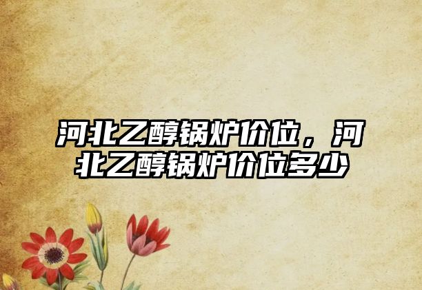 河北乙醇鍋爐價(jià)位，河北乙醇鍋爐價(jià)位多少