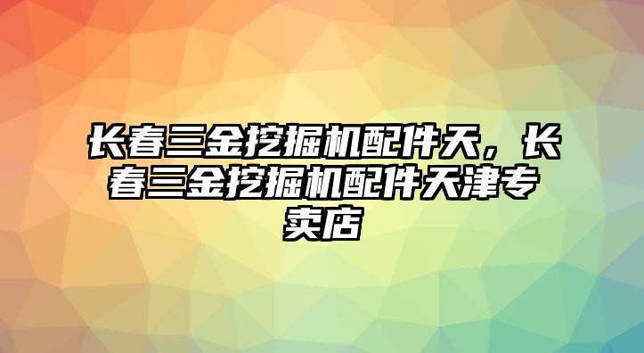 長春三金挖掘機配件天，長春三金挖掘機配件天津專賣店