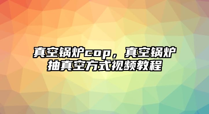 真空鍋爐cop，真空鍋爐抽真空方式視頻教程