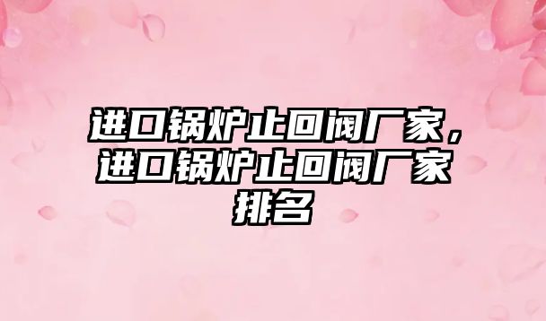 進(jìn)口鍋爐止回閥廠家，進(jìn)口鍋爐止回閥廠家排名