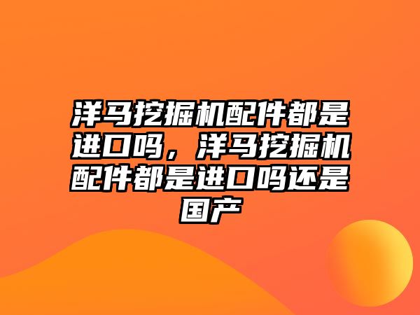 洋馬挖掘機配件都是進口嗎，洋馬挖掘機配件都是進口嗎還是國產(chǎn)