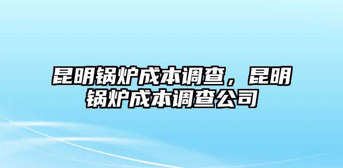 昆明鍋爐成本調(diào)查，昆明鍋爐成本調(diào)查公司