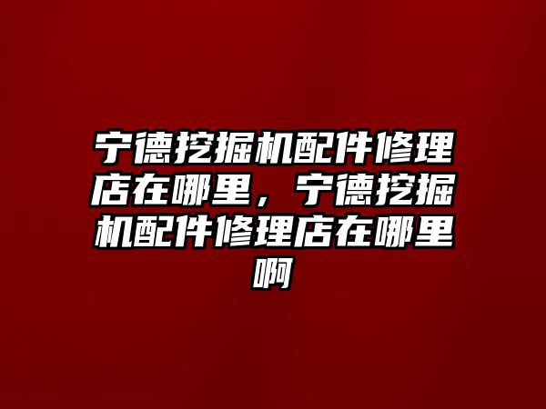 寧德挖掘機配件修理店在哪里，寧德挖掘機配件修理店在哪里啊