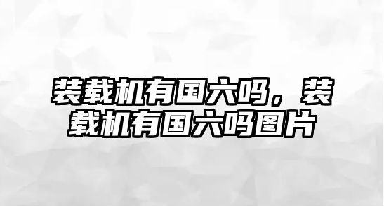 裝載機(jī)有國(guó)六嗎，裝載機(jī)有國(guó)六嗎圖片