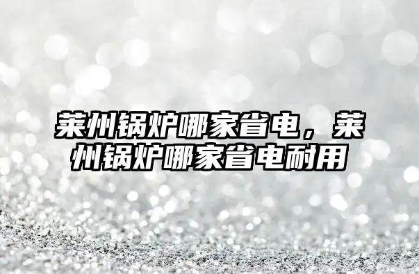 萊州鍋爐哪家省電，萊州鍋爐哪家省電耐用