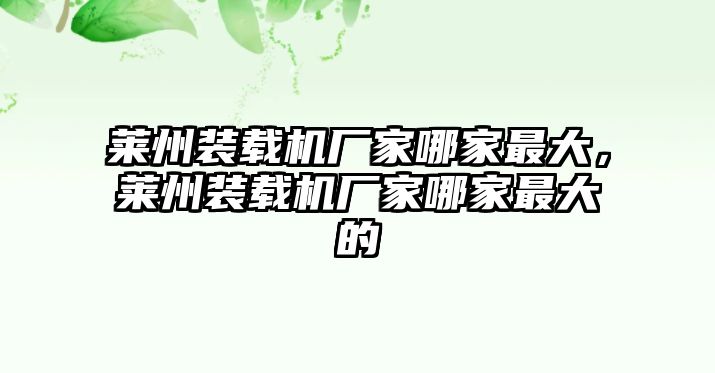 萊州裝載機(jī)廠家哪家最大，萊州裝載機(jī)廠家哪家最大的