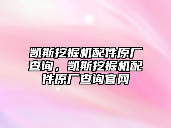 凱斯挖掘機配件原廠查詢，凱斯挖掘機配件原廠查詢官網(wǎng)