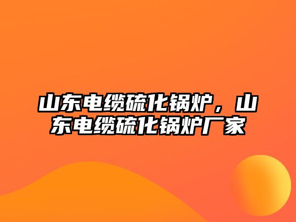 山東電纜硫化鍋爐，山東電纜硫化鍋爐廠家