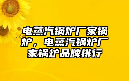 電蒸汽鍋爐廠家鍋爐，電蒸汽鍋爐廠家鍋爐品牌排行