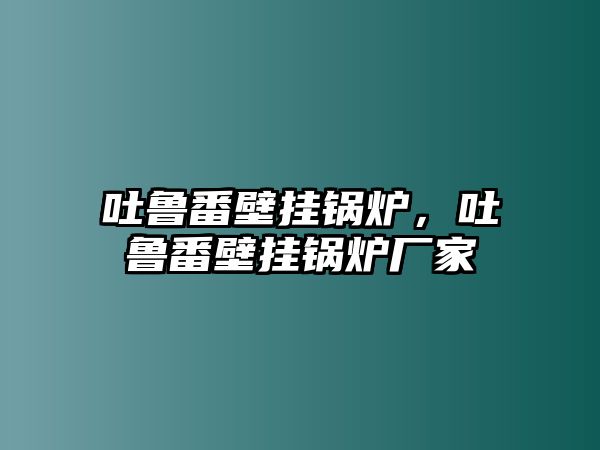 吐魯番壁掛鍋爐，吐魯番壁掛鍋爐廠家