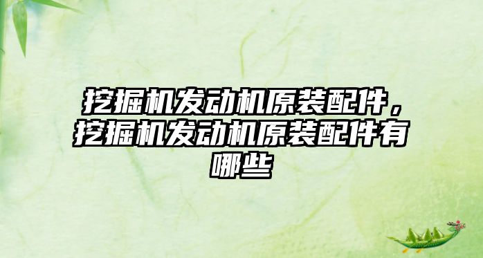 挖掘機發(fā)動機原裝配件，挖掘機發(fā)動機原裝配件有哪些