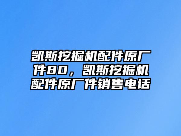 凱斯挖掘機配件原廠件80，凱斯挖掘機配件原廠件銷售電話