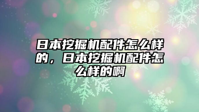 日本挖掘機(jī)配件怎么樣的，日本挖掘機(jī)配件怎么樣的啊