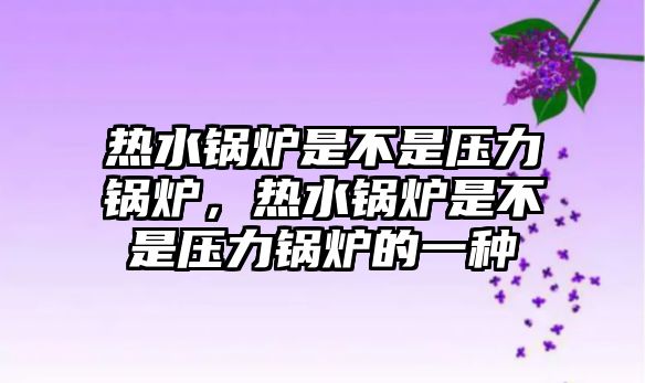 熱水鍋爐是不是壓力鍋爐，熱水鍋爐是不是壓力鍋爐的一種