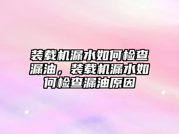 裝載機(jī)漏水如何檢查漏油，裝載機(jī)漏水如何檢查漏油原因