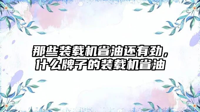 那些裝載機省油還有勁，什么牌子的裝載機省油