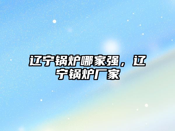 遼寧鍋爐哪家強(qiáng)，遼寧鍋爐廠家