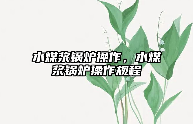 水煤漿鍋爐操作，水煤漿鍋爐操作規(guī)程