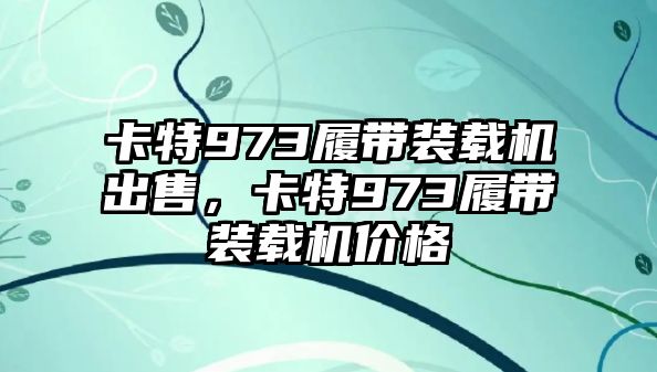 卡特973履帶裝載機(jī)出售，卡特973履帶裝載機(jī)價(jià)格