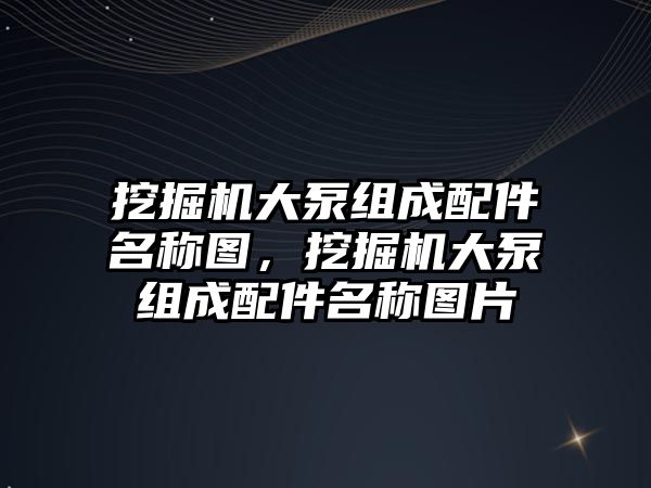 挖掘機大泵組成配件名稱圖，挖掘機大泵組成配件名稱圖片