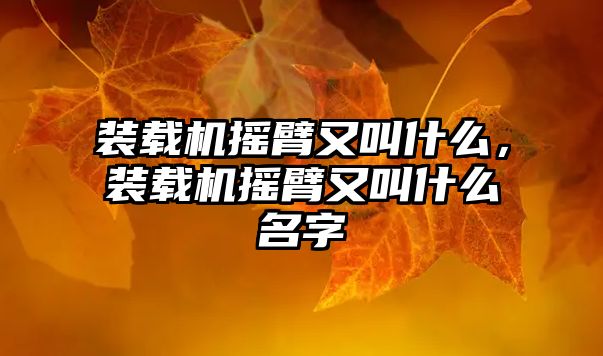 裝載機搖臂又叫什么，裝載機搖臂又叫什么名字