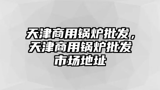 天津商用鍋爐批發(fā)，天津商用鍋爐批發(fā)市場(chǎng)地址