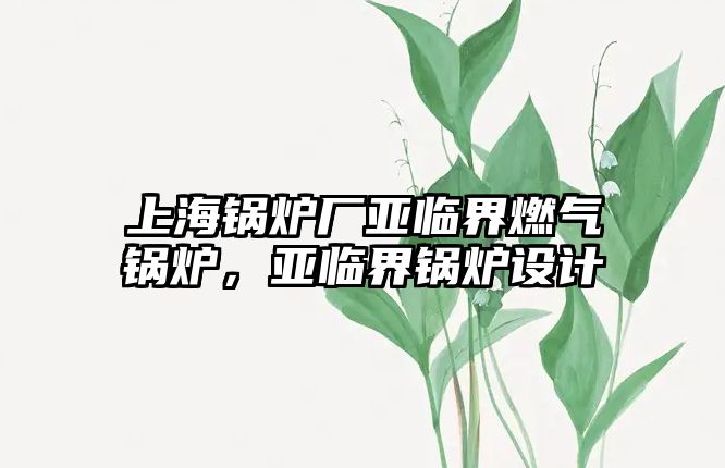 上海鍋爐廠亞臨界燃?xì)忮仩t，亞臨界鍋爐設(shè)計(jì)