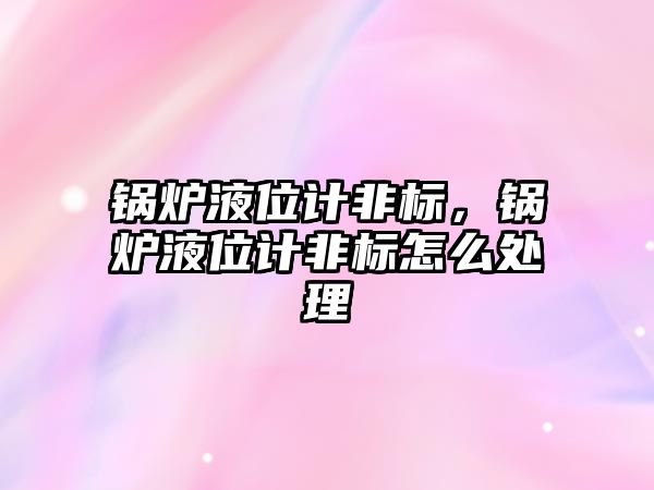 鍋爐液位計非標，鍋爐液位計非標怎么處理