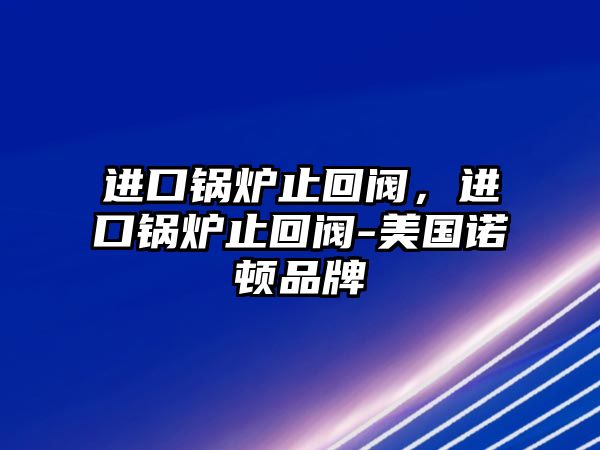 進(jìn)口鍋爐止回閥，進(jìn)口鍋爐止回閥-美國諾頓品牌