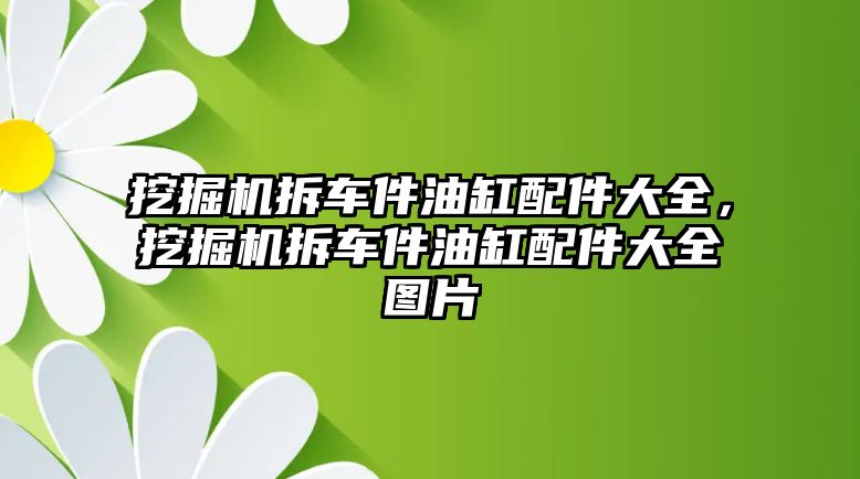 挖掘機拆車件油缸配件大全，挖掘機拆車件油缸配件大全圖片