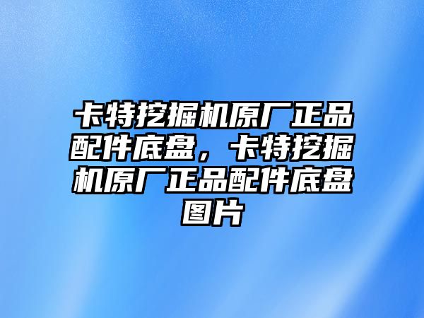 卡特挖掘機(jī)原廠正品配件底盤，卡特挖掘機(jī)原廠正品配件底盤圖片